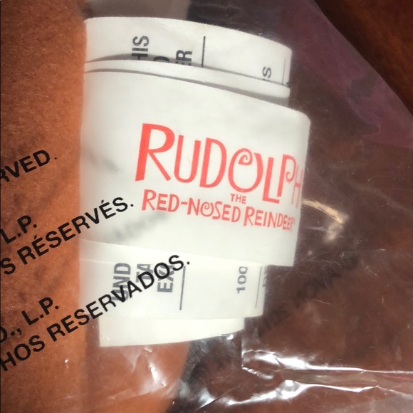 Sing-N-Glow Rudolph - Picture 3 of 4